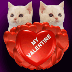Happy Valentines Day Cat Sisters Spinning Heart GIF