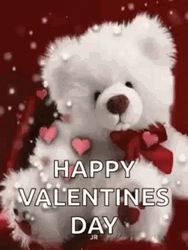 Happy Valentines Day Cute White Teddy Bear GIF