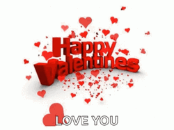 Happy Valentines Day Love You GIF