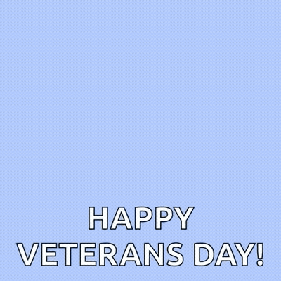 Happy Veterans Day Card With Planes GIF