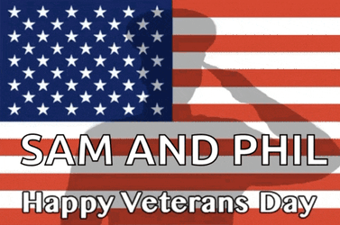 Happy Veterans Day Salute GIF