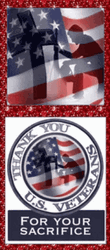 Happy Veterans Day Thanks GIF