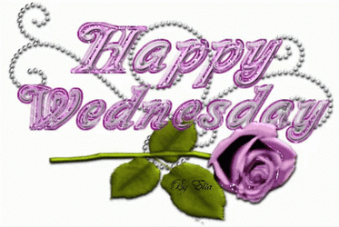 Happy Violet Roses Blessed Good Morning Wednesday GIF