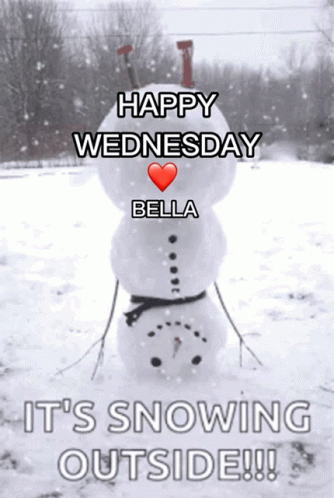 Happy Wednesday Bella It's Snowing Outside GIF