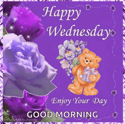 Happy Wednesday Card With Purple Roses And Teddy Bear Holding Gift GIF