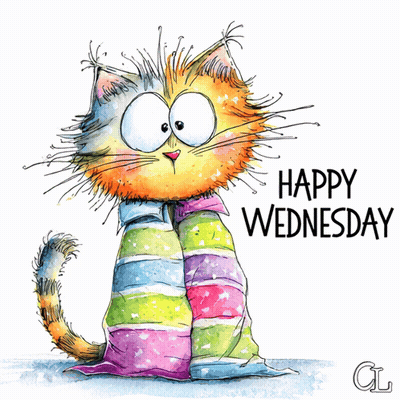 Happy Wednesday Cat Wrapped In Striped Blanket GIF