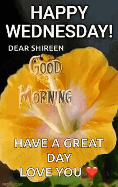 Happy Wednesday Dear Shireen Good Morning Love You GIF