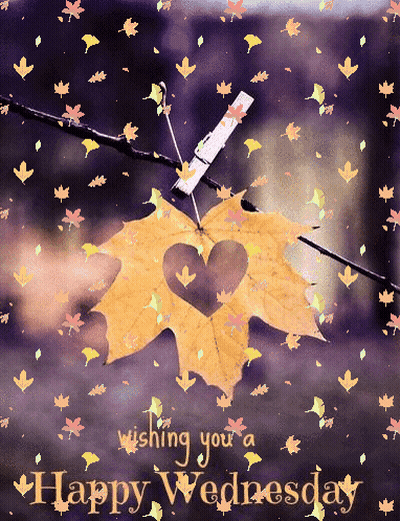 Happy Wednesday Greeting Card With Leaf Heart Cutout GIF