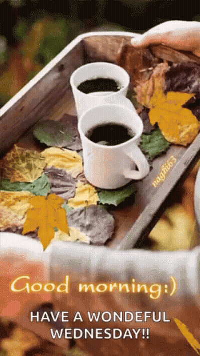 Happy Wednesday Greeting Card With Leaf Heart Cutout GIF