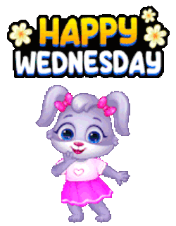 Happy Wednesday Happy Wednesday Good Morning Sticker GIF