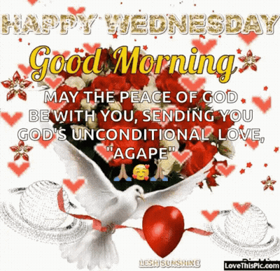 Happy Wednesday Message With Roses And White Dove GIF