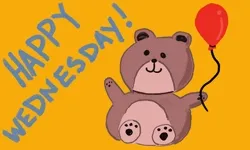 Happy Wednesday GIFs