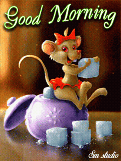 Happy Wednesday Watch Your Back GIF