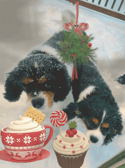 Happy Winter Saturday A Dog Gift GIF