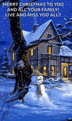 Happy Winter Saturday Christmas Night Live GIF