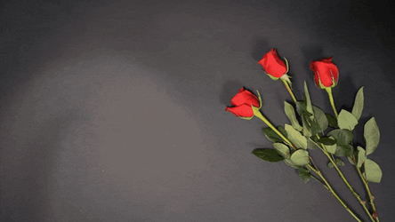 Happy Work Anniversary Star & Rose GIF