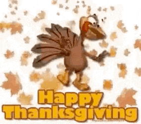 Happythanksgiving Happyturkeyday GIF