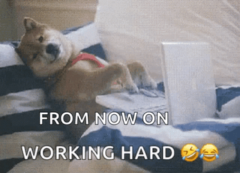 Hardworking Akita Dog Even On Sleep GIF