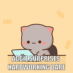 Hardworking Mochi Mochi Peach Cat GIF