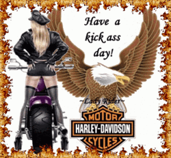 Harley Davidson Happy Birthday Kick Ass Ride GIF
