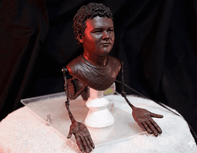 Harley Davidson Shirt On Man Bust GIF