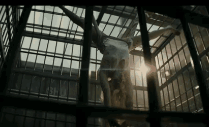 Harley Quinn Suicide Squad GIF