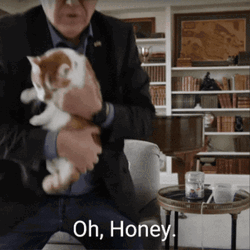 Harris Walz Carries Cat Oh Honey GIF
