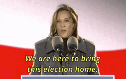 Harris Walz Here To Bring Election Home GIF