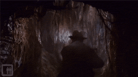 Harrison Ford Raiders Of The Lost Ark GIF