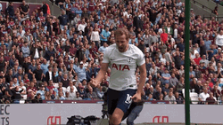 Harry Kane Closed Fist GIF