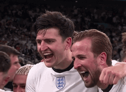Harry Kane Joyful Celebration With Teammates GIF