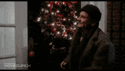 Harry Lime Burnt Hands At Home Alone GIF
