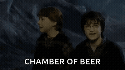Harry Potter And Ron Weasley Are Standing Next To Each Other In A Dark Room . GIF
