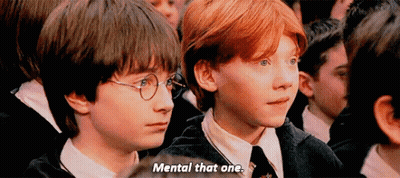 Harry Potter And Ron Weasley Sitting In Crowd Saying Mental That One GIF