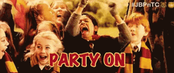 Harry Potter Birthday Party On Gryffindor Celebration