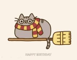 Harry Potter Cat Happy Birthday Flying Broomstick
