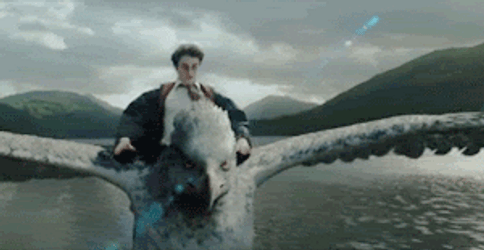 Harry Potter Excited To Fly GIF