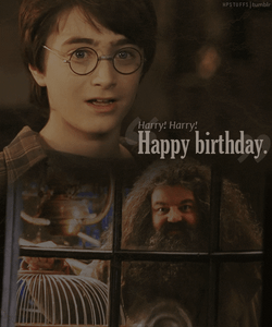 Harry Potter Happy Birthday Hedwig The Owl GIF