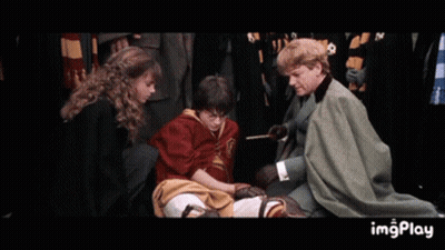 Harry Potter Helped By Group In Philosopher's Stone GIF