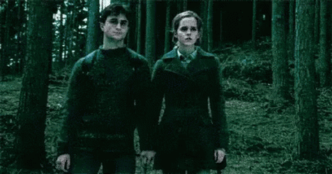 Harry Potter Hermione Teleport GIF