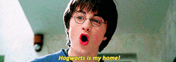 Harry Potter Hogwarts Is My Home