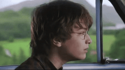 Harry Potter Is Looking Out Of A Car Window . GIF