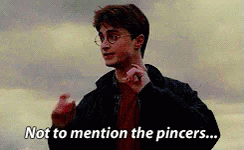 Harry Potter Mention The Pincers