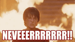 Harry Potter Never GIF