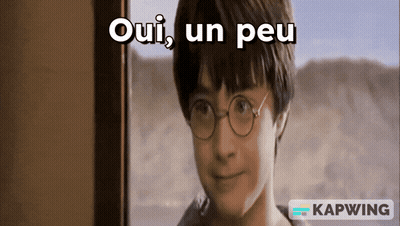Harry Potter Oui Un Peu GIF