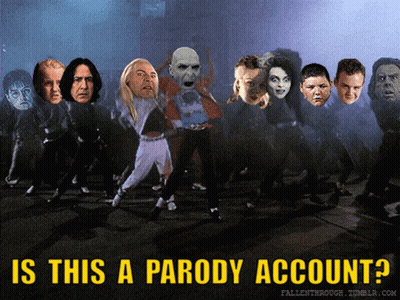 Harry Potter Parody Dancing GIF
