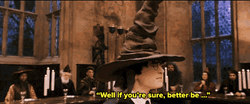 Harry Potter Sorting Hat Better Be GIF