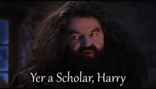 Harry Potter Wearing A Graduation Cap Holding A Diploma GIF