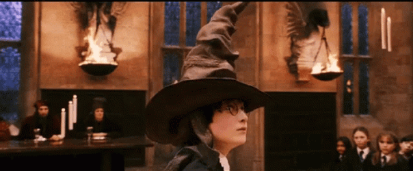 Harry Potter Wearing Sorting Hat GIF