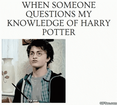 Harry Potter When Someone Questions My Knowledge GIF